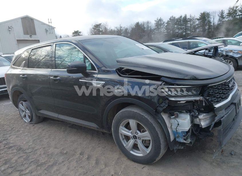 Photo 13 of 2023 Kia Sorento LX (VIN 5XYRGDLC1PG192453)