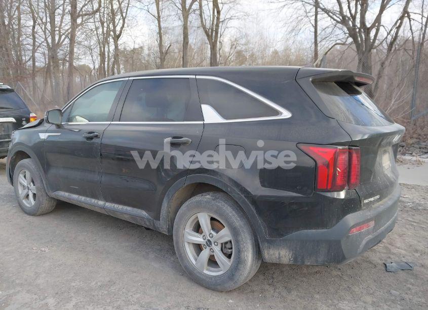 Photo 14 of 2023 Kia Sorento LX (VIN 5XYRGDLC1PG192453)