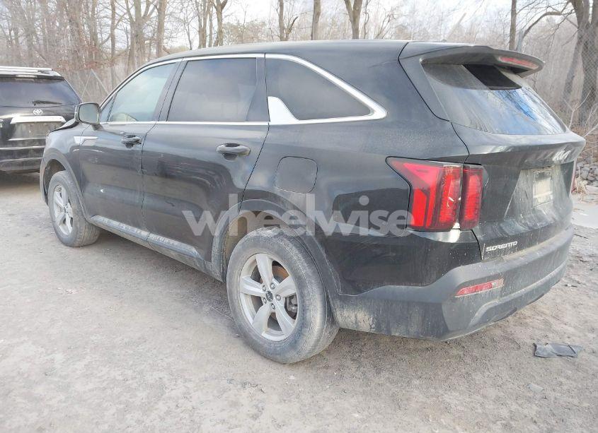 Photo 3 of 2023 Kia Sorento LX (VIN 5XYRGDLC1PG192453)