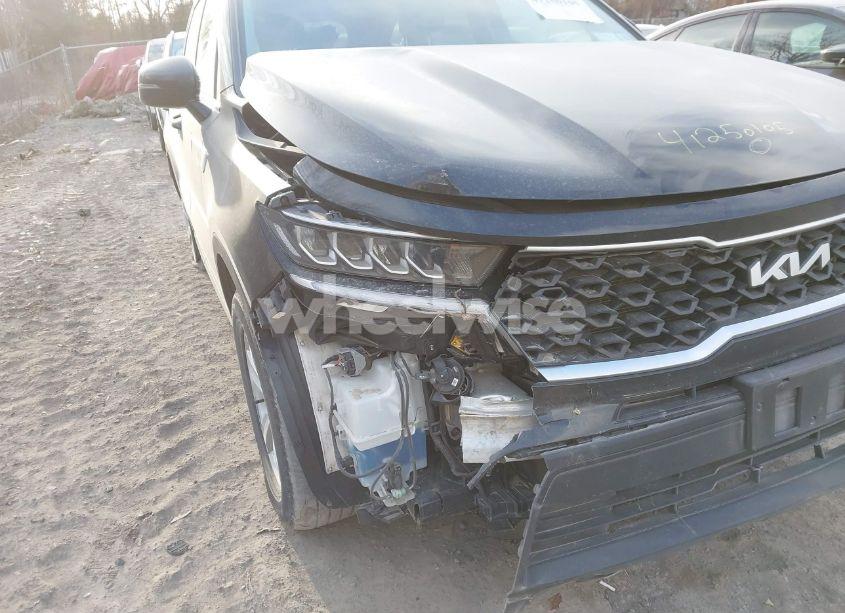 Photo 6 of 2023 Kia Sorento LX (VIN 5XYRGDLC1PG192453)