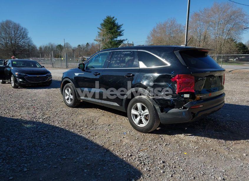 Photo 3 of 2023 Kia Sorento LX (VIN 5XYRGDLC1PG205332)