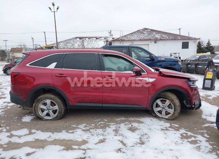 Photo 13 of 2021 Kia Sorento LX (VIN 5XYRGDLC2MG010450)