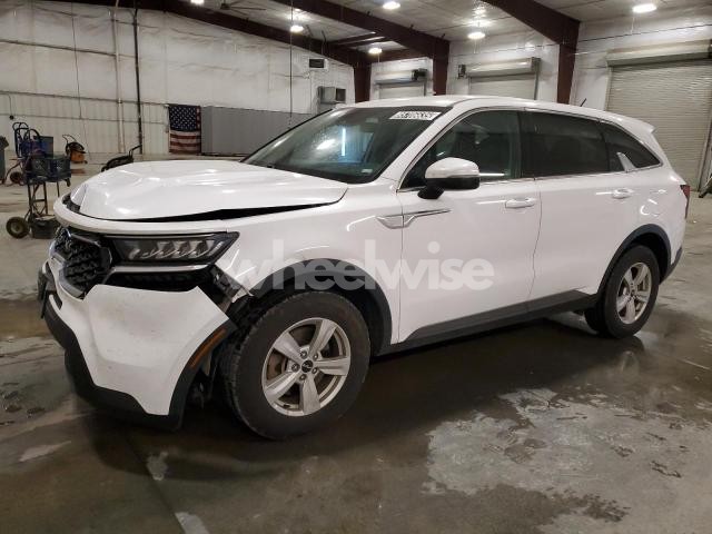 2022 KIA SORENTO LX (VIN 5XYRGDLC4NG080890) main photo