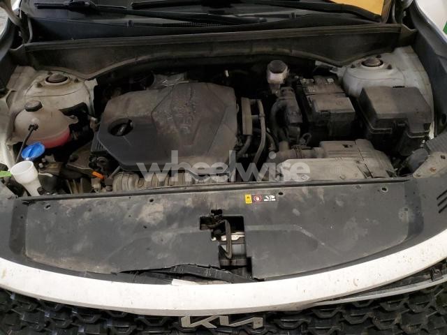 Photo 12 of 2022 KIA SORENTO LX (VIN 5XYRGDLC4NG080890)