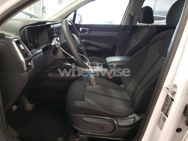 Photo 13 of 2022 KIA SORENTO LX (VIN 5XYRGDLC4NG080890)
