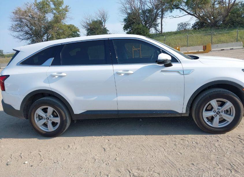 Photo 13 of 2022 Kia Sorento LX (VIN 5XYRGDLC4NG157855)