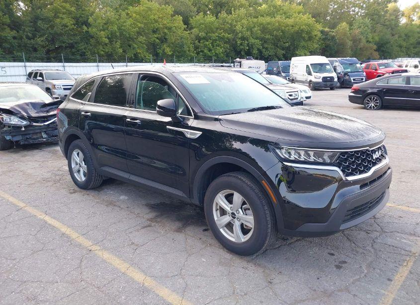 2023 Kia Sorento LX (VIN 5XYRGDLC4PG233934) main photo