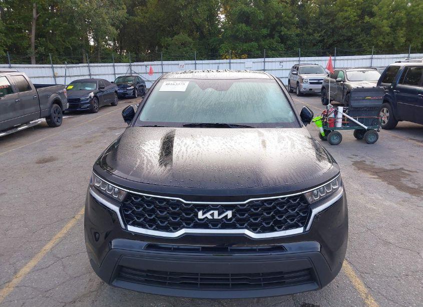 Photo 12 of 2023 Kia Sorento LX (VIN 5XYRGDLC4PG233934)