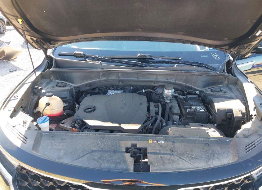 Photo 10 of 2021 Kia Sorento LX (VIN 5XYRGDLC7MG046456)