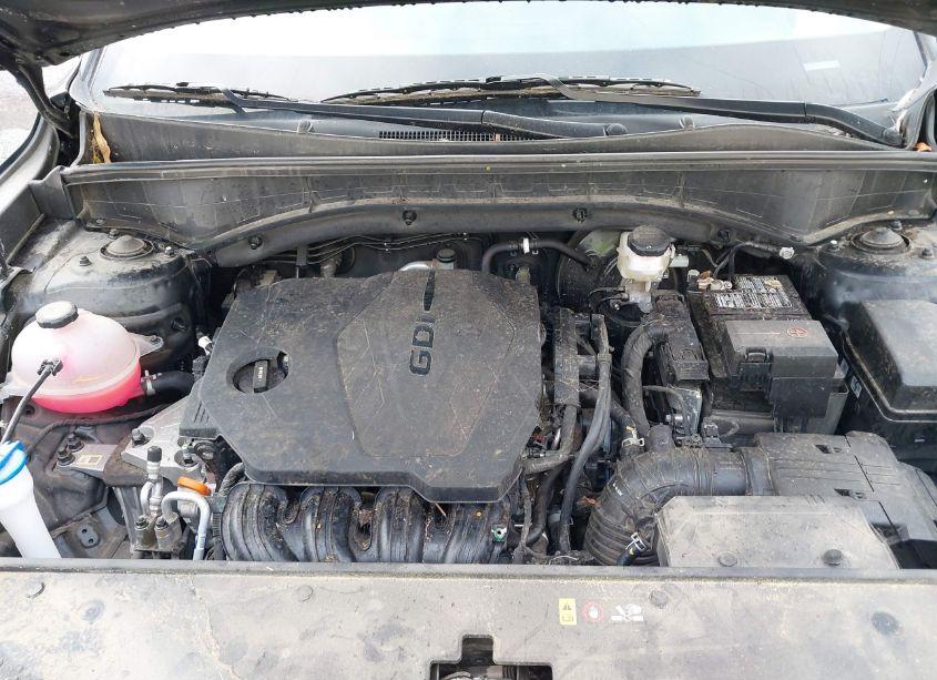 Photo 10 of 2023 Kia Sorento LX (VIN 5XYRGDLC7PG184020)