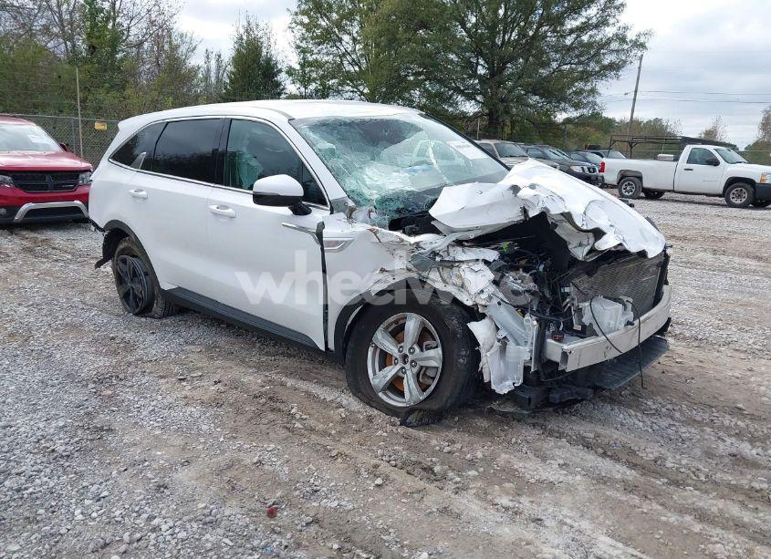 2023 Kia Sorento LX (VIN 5XYRGDLC9PG183029) main photo