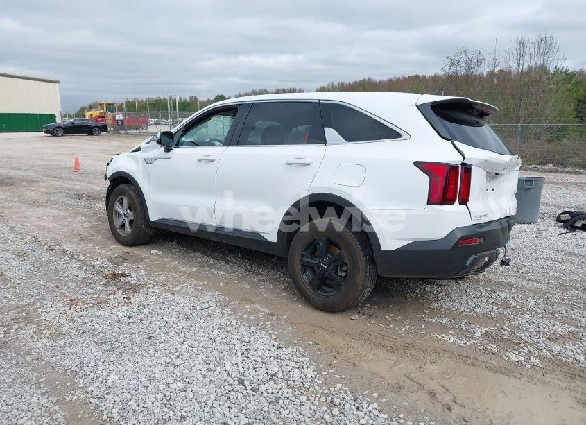 Photo 3 of 2023 Kia Sorento LX (VIN 5XYRGDLC9PG183029)