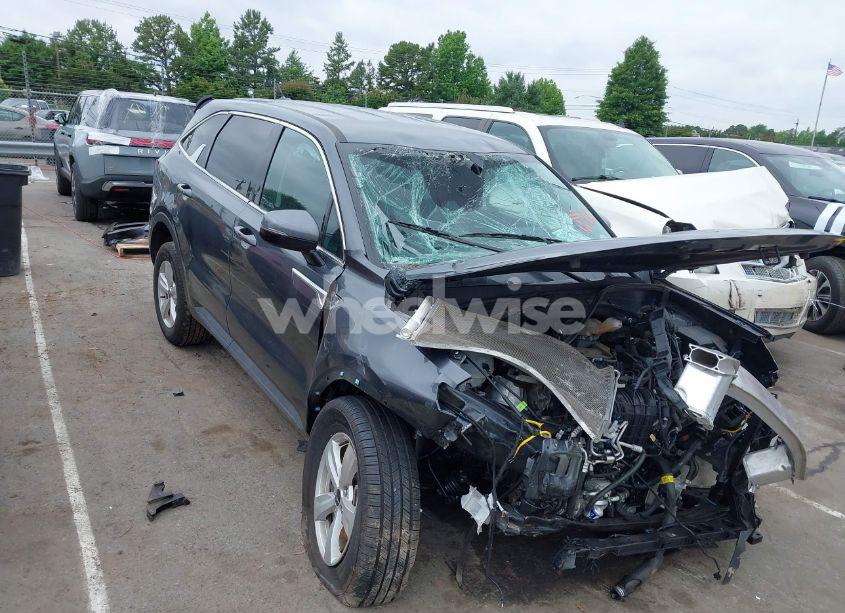 2023 Kia Sorento LX (VIN 5XYRGDLC9PG202887) main photo