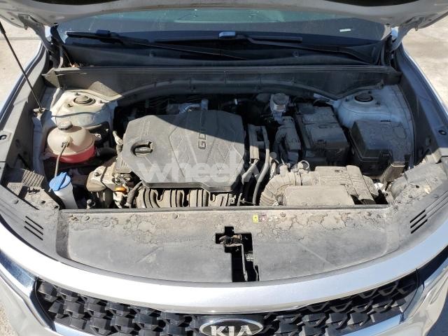 Photo 3 of 2021 KIA SORENTO LX (VIN 5XYRGDLCXMG014679)