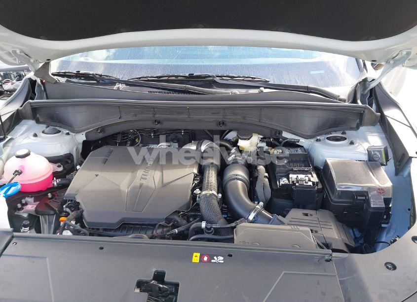 Photo 10 of 2025 Kia Sorento EX (VIN 5XYRH4JF1SG335534)