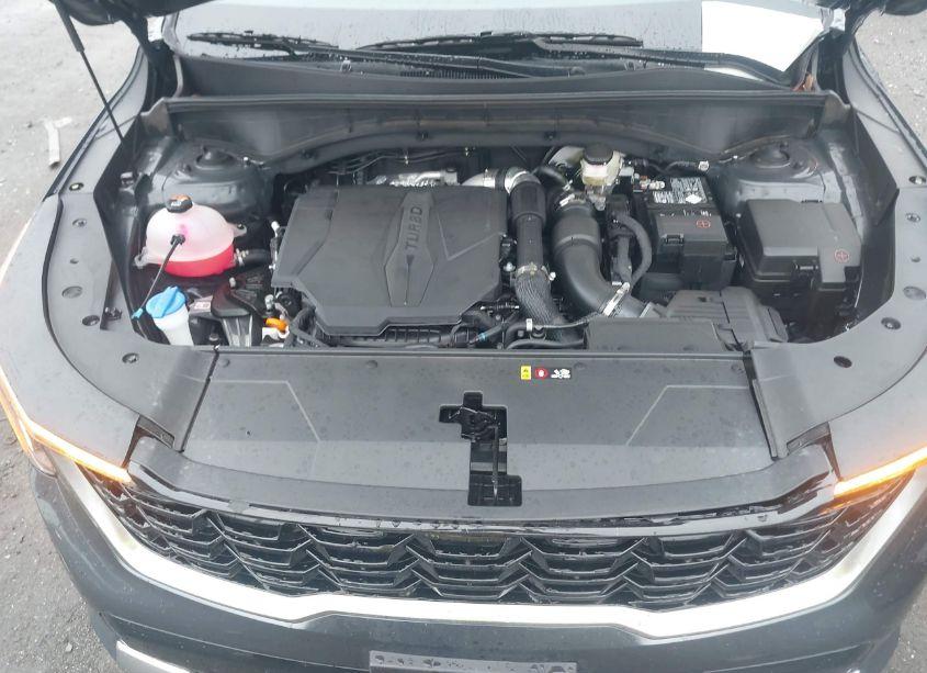 Photo 10 of 2025 Kia Sorento EX (VIN 5XYRH4JF8SG318455)