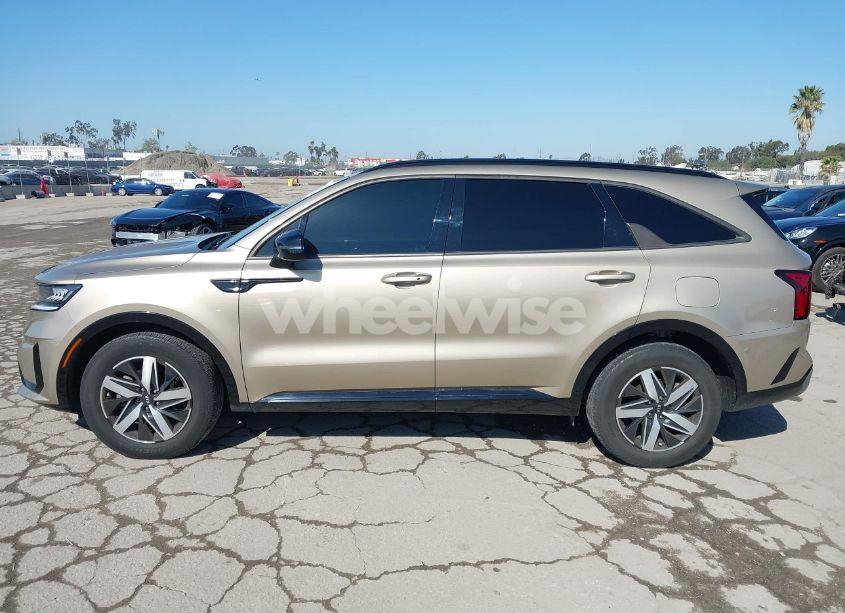 Photo 14 of 2021 Kia Sorento EX (VIN 5XYRH4LF2MG011475)