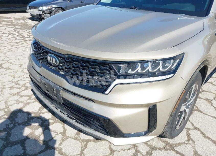 Photo 6 of 2021 Kia Sorento EX (VIN 5XYRH4LF2MG011475)