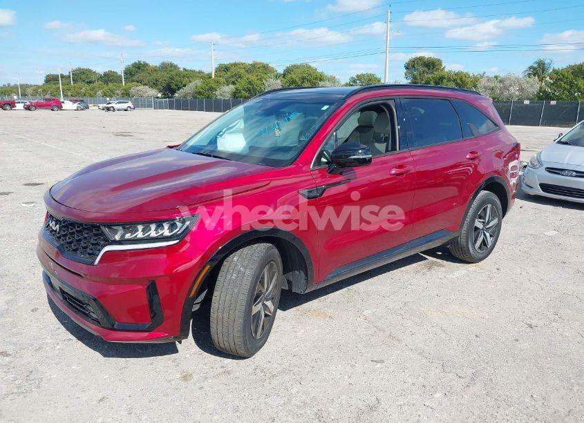 Photo 2 of 2023 Kia Sorento EX (VIN 5XYRH4LF4PG169112)