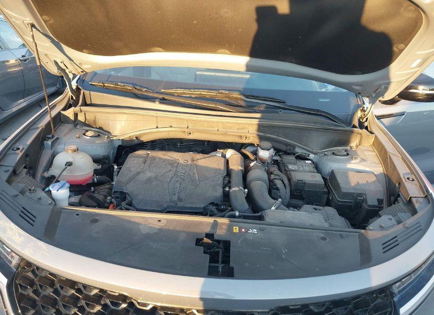 Photo 10 of 2023 Kia Sorento EX (VIN 5XYRH4LF6PG158936)