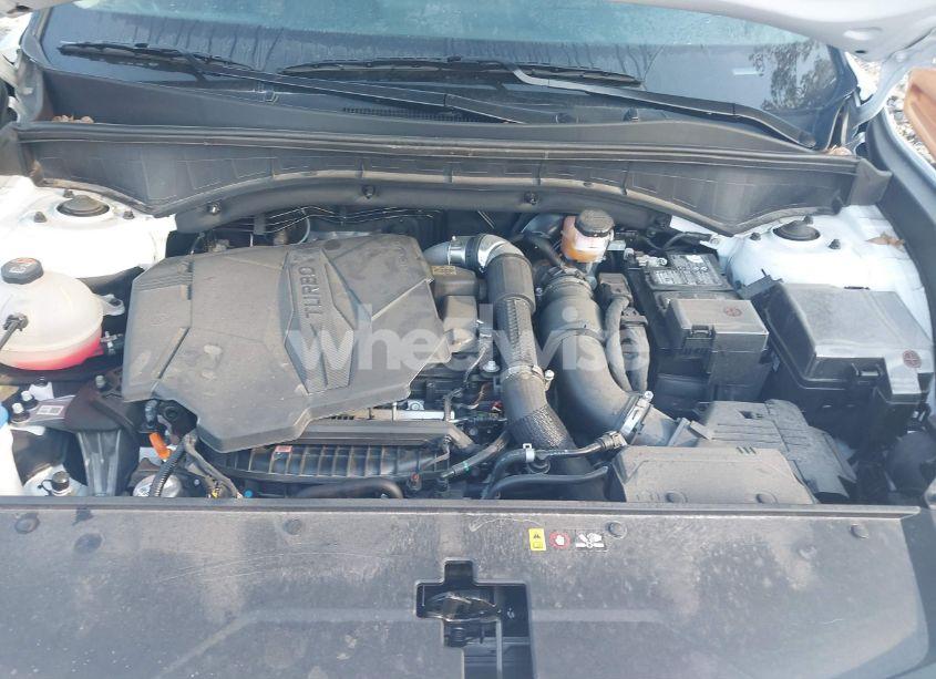 Photo 10 of 2023 Kia Sorento EX (VIN 5XYRH4LF9PG243298)