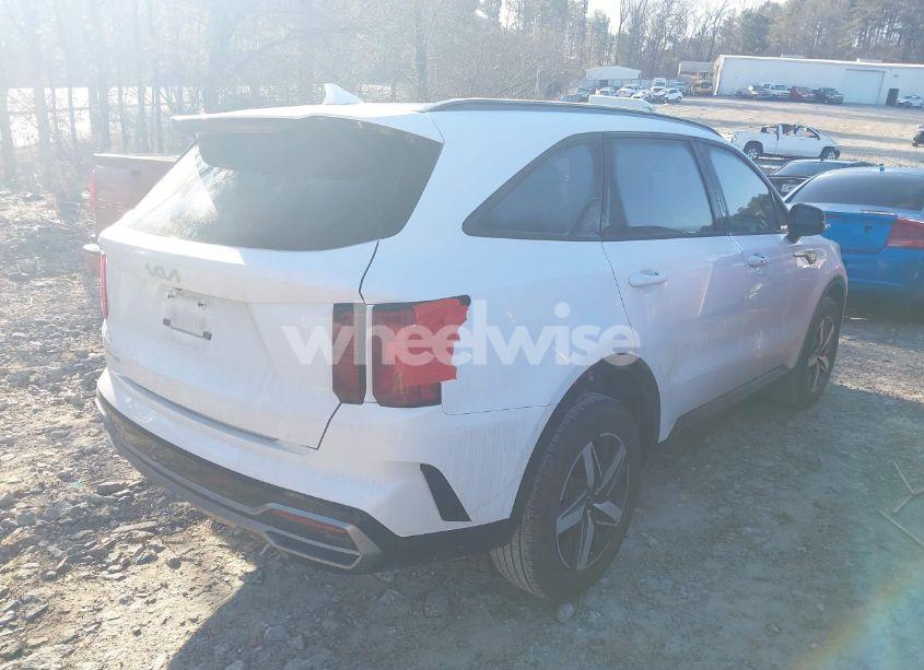 Photo 4 of 2023 Kia Sorento EX (VIN 5XYRH4LF9PG243298)