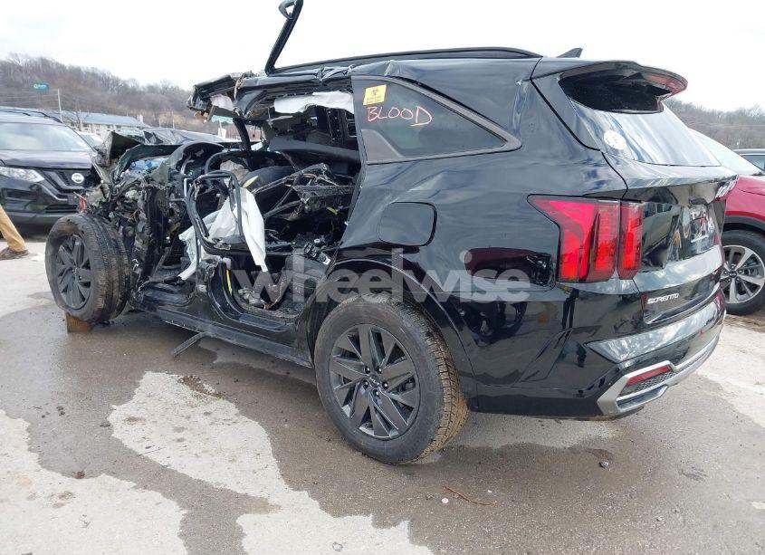 Photo 3 of 2023 Kia Sorento EX (VIN 5XYRH4LFXPG189333)