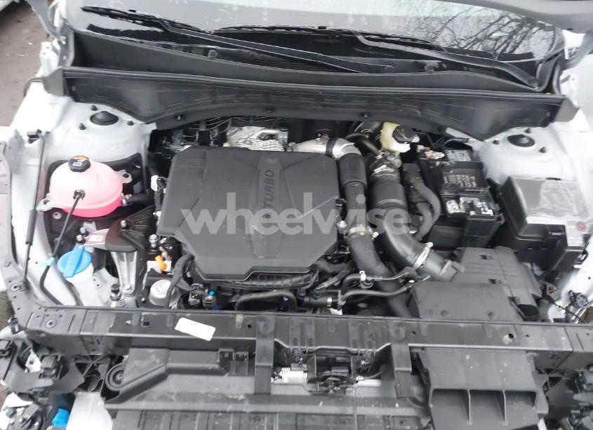 Photo 10 of 2025 Kia Sorento X-LINE EX (VIN 5XYRHDJF6SG315229)