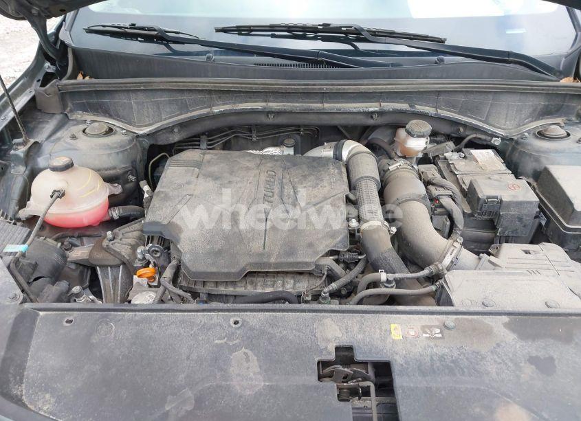 Photo 10 of 2022 Kia Sorento X-LINE EX (VIN 5XYRHDLF0NG087908)