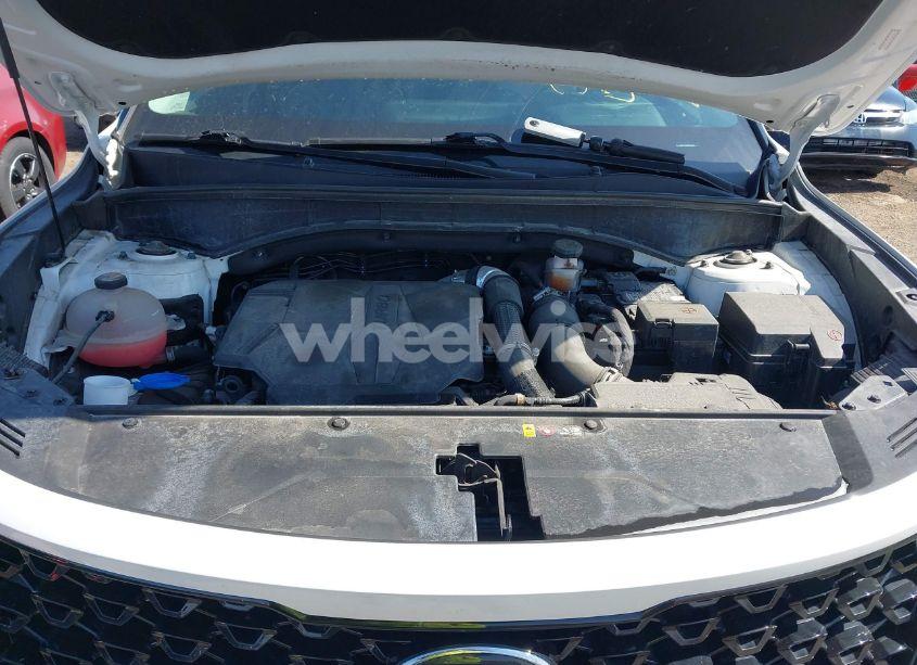 Photo 10 of 2021 Kia Sorento EX (VIN 5XYRHDLF7MG059909)