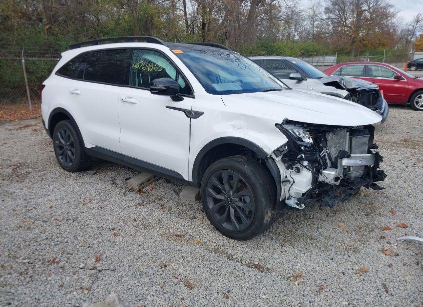 2021 Kia Sorento EX (VIN 5XYRHDLF8MG065945) main photo