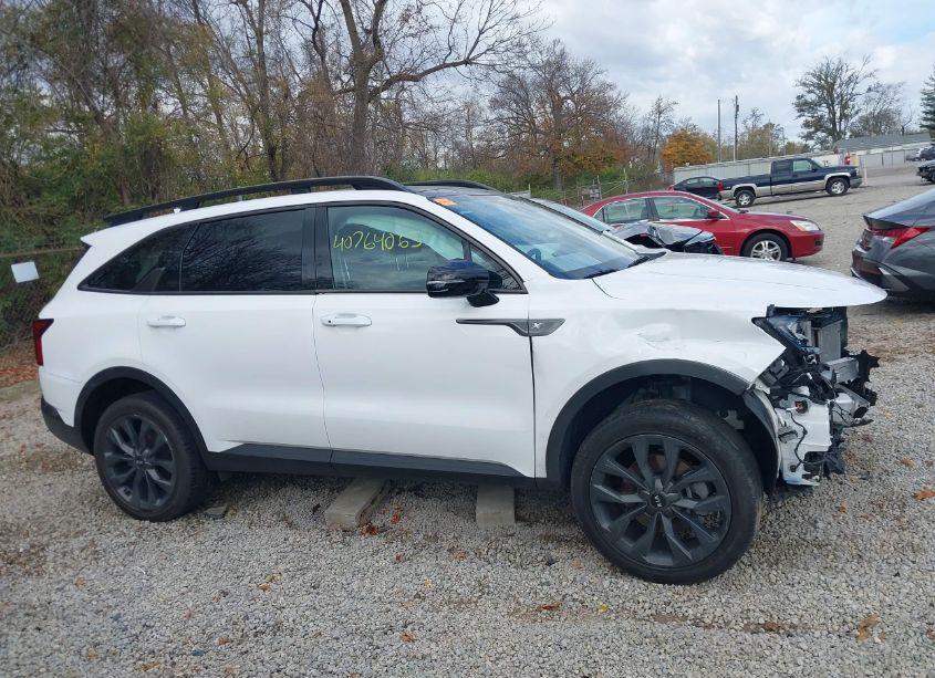 Photo 14 of 2021 Kia Sorento EX (VIN 5XYRHDLF8MG065945)