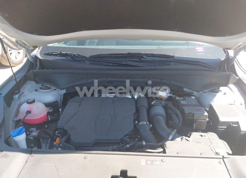 Photo 10 of 2024 Kia Sorento SX (VIN 5XYRK4JF2RG303784)