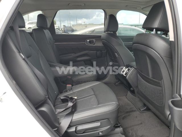 Photo 7 of 2025 KIA SORENTO SX (VIN 5XYRK4JF7SG377871)