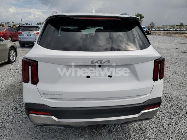 Photo 9 of 2025 KIA SORENTO SX (VIN 5XYRK4JF7SG377871)