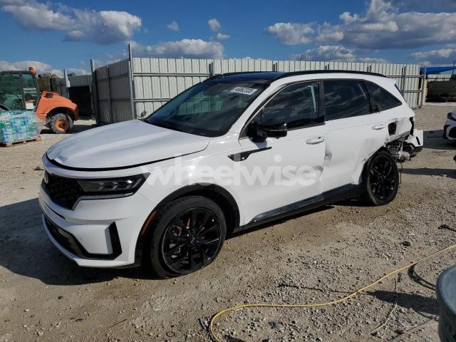 Photo 14 of 2021 KIA SORENTO SX (VIN 5XYRK4LF0MG049837)