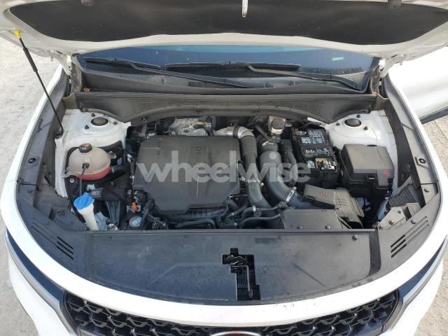 Photo 7 of 2021 KIA SORENTO SX (VIN 5XYRK4LF0MG049837)