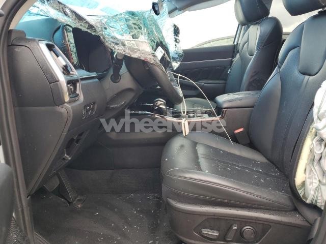 Photo 13 of 2021 KIA SORENTO SX (VIN 5XYRK4LF1MG033663)