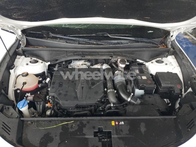 Photo 3 of 2021 KIA SORENTO SX (VIN 5XYRK4LF1MG033663)