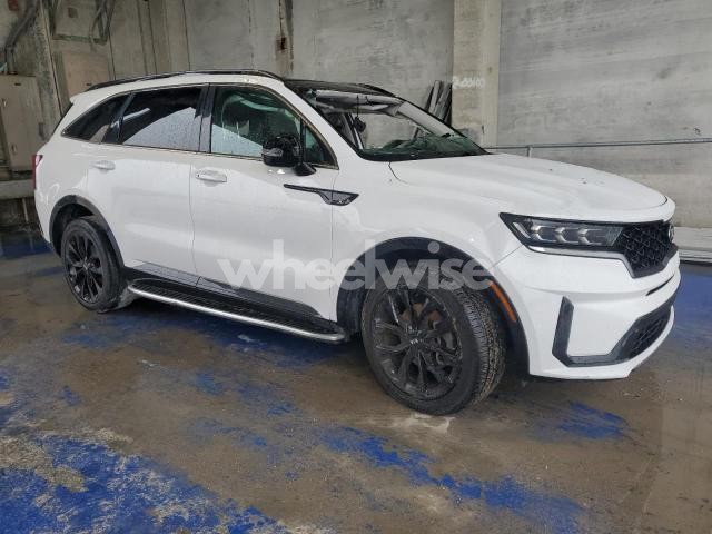 Photo 6 of 2021 KIA SORENTO SX (VIN 5XYRK4LF1MG033663)