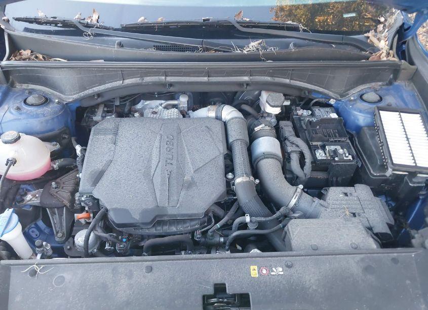 Photo 10 of 2021 Kia Sorento SX (VIN 5XYRK4LF2MG030996)