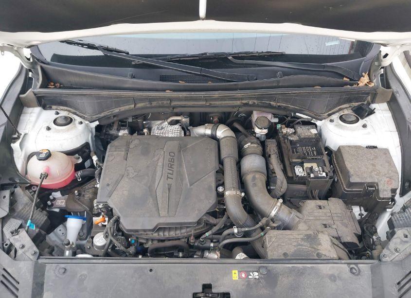 Photo 10 of 2022 Kia Sorento SX (VIN 5XYRK4LF2NG111417)