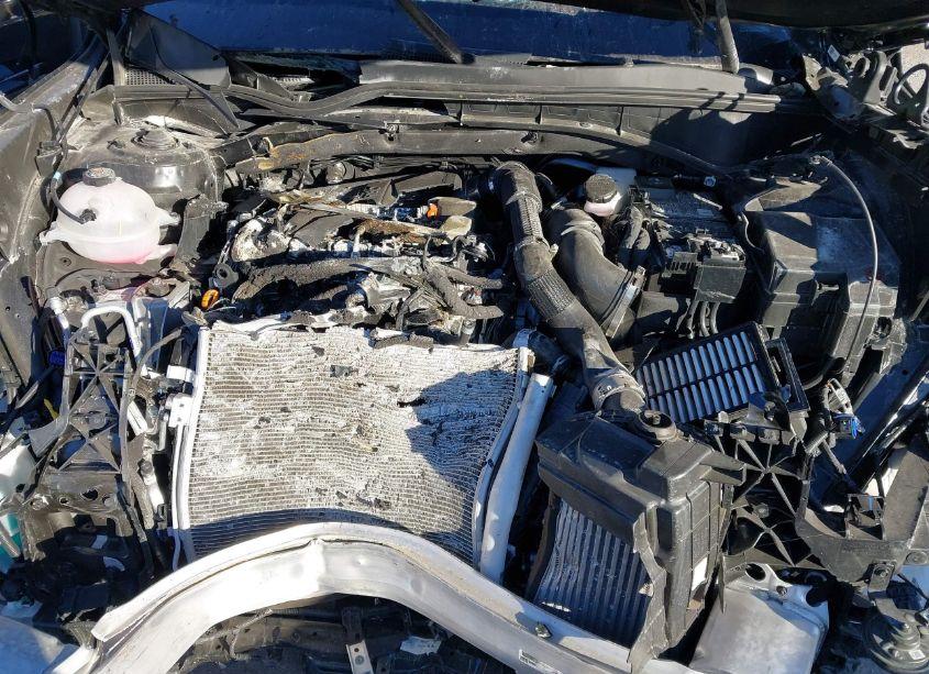 Photo 10 of 2023 Kia Sorento SX (VIN 5XYRK4LF2PG238848)