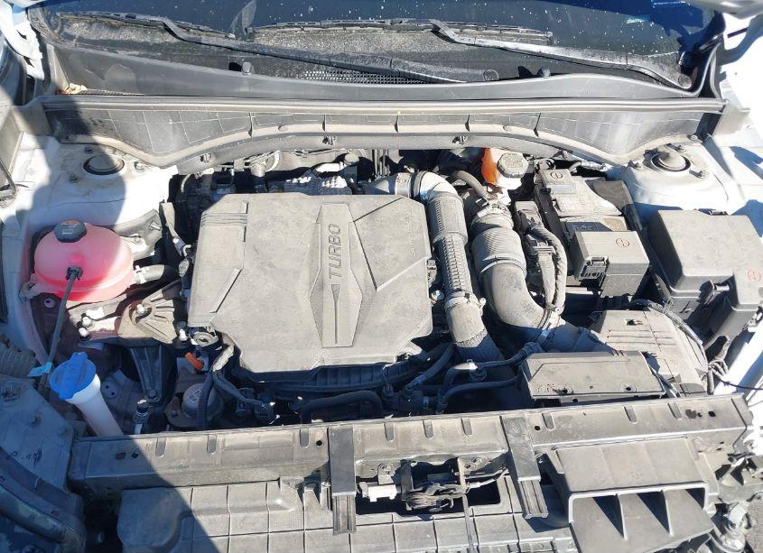 Photo 10 of 2023 Kia Sorento SX (VIN 5XYRK4LF6PG165340)