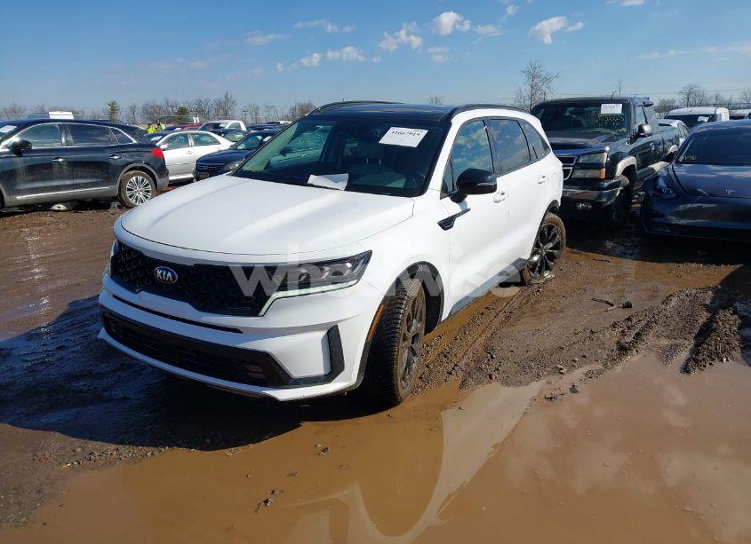 Photo 2 of 2021 Kia Sorento SX (VIN 5XYRK4LF8MG070337)