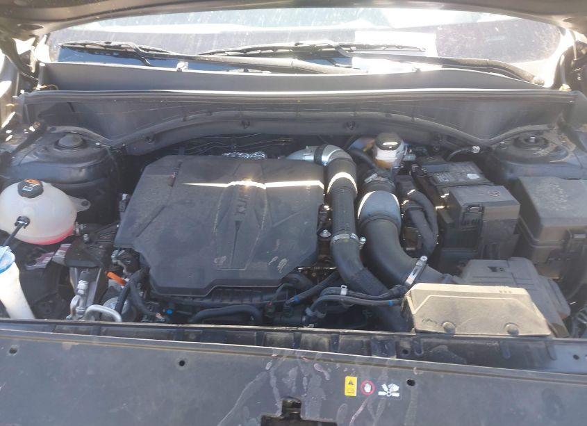 Photo 10 of 2023 Kia Sorento SX (VIN 5XYRK4LF8PG204980)