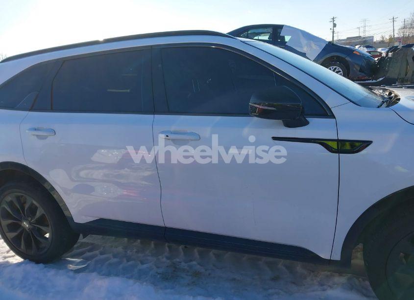Photo 14 of 2021 Kia Sorento SX (VIN 5XYRK4LFXMG026369)