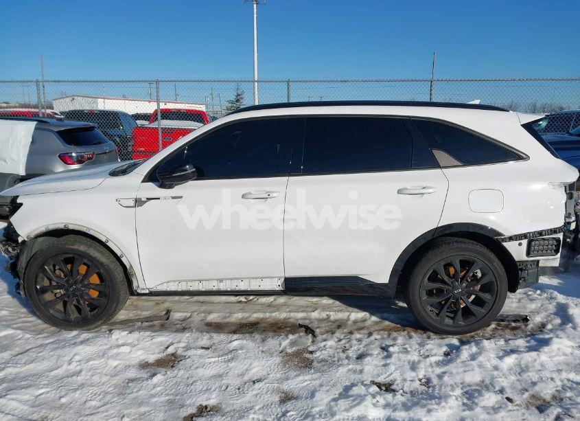 Photo 15 of 2021 Kia Sorento SX (VIN 5XYRK4LFXMG026369)