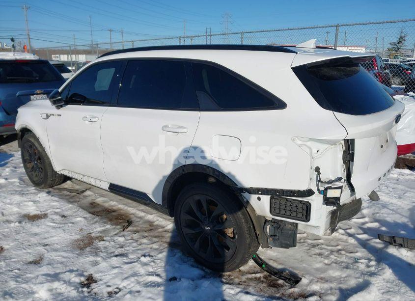 Photo 3 of 2021 Kia Sorento SX (VIN 5XYRK4LFXMG026369)