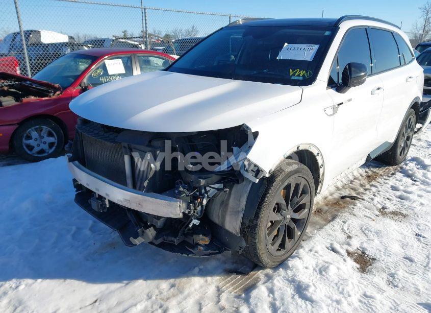 Photo 6 of 2021 Kia Sorento SX (VIN 5XYRK4LFXMG026369)